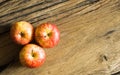 Top view of fresh gala apples on wood background with copy space Royalty Free Stock Photo