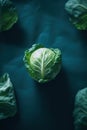 Top view of fresh green cabbage leaves on green background. Creative food concept.