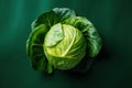 Top view of fresh green cabbage leaves on green background. Creative food concept.