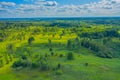 Top view of fresh green color fields Royalty Free Stock Photo