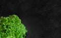 Top view of fresh green salad lettuce on black textured background Royalty Free Stock Photo
