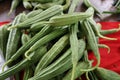 Top view of fresh green zucchini organic vegetables for sale in Asian fruit and vegetable market Royalty Free Stock Photo