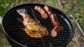 Top view of fresh grilled whole fish, skewer, sausages on round black charcoal grill, green grass background. Barbecue, grill and