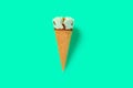 fresh hami melon and oats flavor ice cream cone on green background Royalty Free Stock Photo