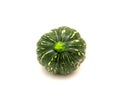 Top view fresh harvest baby winter squash, round eight ball gourd faint vertical ridges, speckled green striping, yellow mottling Royalty Free Stock Photo