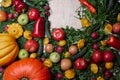 Top view of fresh harvested vegetables, fruits, herbs. copyspace Royalty Free Stock Photo