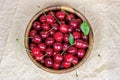 Top view of fresh juicy red sweet cherry berries in the wooden bowl on light background in summer. Royalty Free Stock Photo