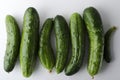 Top view of fresh just picked cucumbers on the white surface Royalty Free Stock Photo