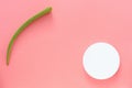 Top view of a fresh leaf of aloe vera and a white jar of cream on a pink background. Organic cosmetics with natural ingredients Royalty Free Stock Photo