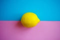 Top view of fresh lemon on colorful blue and pink background, summer vibes design, fruit themes Royalty Free Stock Photo