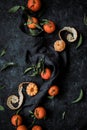 Top view of fresh mandarin oranges or tangerines with leaves on textured dark background. Royalty Free Stock Photo