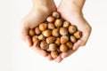 Fresh,new crop hazelnuts in hand of young person.White background,harvest concept