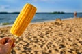Top view of fresh one corn on cob in the man hand, selective focus. Beach on the background