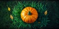 top view Fresh orange pumpkin on the grass