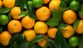 Top view of fresh organic mandarin oranges and ripe tangerine fruits arranged beautifully