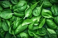 Top view on fresh organic spinach leaves. Healthy green food and vegan background. generative ai Royalty Free Stock Photo