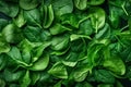 Top view on fresh organic spinach leaves. Versatile and nutritious vegetables, super green with antioxidants. generative ai Royalty Free Stock Photo