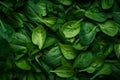 Top view on fresh organic spinach leaves. Versatile and nutritious vegetables. generative ai Royalty Free Stock Photo