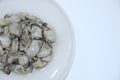 Top view of fresh oysters solated on white background