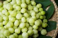 Top view fresh Phyllanthus acidus or star gooseberry on bamboo b