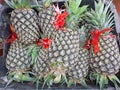 Pineapple sold in the market
