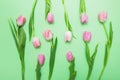 Top view of fresh pink tulips on light green background