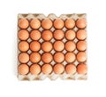 Top view of fresh raw chicken eggs on paper tray
