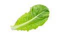 Top view of fresh raw green romaine lettuce leaves for salad isolated on white background.