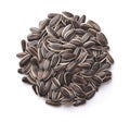 Top view of fresh raw sunflower seeds Royalty Free Stock Photo