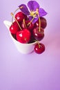 Top view of cherries with a purple flower in a white cup on purple background Royalty Free Stock Photo