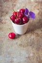 Top view of cherries with a purple flower in a white cup on wooden background Royalty Free Stock Photo