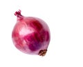 Top view of fresh red or purple onion isolated on white background with clipping path Royalty Free Stock Photo