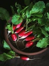 Top view fresh red radish on old wooden table. Growing organic vegetables. A bunch of raw fresh radishes on dark boards ready to Royalty Free Stock Photo