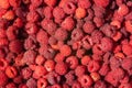 Top view fresh red raspberries, background. Royalty Free Stock Photo