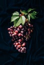 top view of fresh ripe juicy red grapes with green leaves Royalty Free Stock Photo