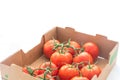 Top view fresh ripe tomatoes on vine in paper box isolated on white grocery delivery concept Royalty Free Stock Photo