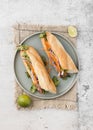 top view fresh sandwiches plate. High quality photo Royalty Free Stock Photo