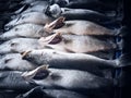 Top view of fresh sea bass fish on table ice display for sale at fresh market. Royalty Free Stock Photo