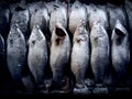 Top view of fresh sea bass fish on table ice display for sale at fresh market. Royalty Free Stock Photo