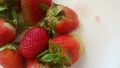 Top view of fresh strawberries in plate on rustic white wood background Royalty Free Stock Photo