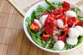 Top view of fresh summer vegetables and green herbs, red pepper, arugula, canned tuna and mozzarella as a salad in the white bowl Royalty Free Stock Photo