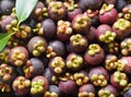 Top view of fresh , sweet and delicious organic mangosteen fruits with leaf for sale in a market - In Thailand it known as Queen Royalty Free Stock Photo