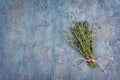 Top view on fresh thyme green herb on blue concrete background Royalty Free Stock Photo