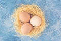 Top view of fresh uncolored chicken eggs in straw nest on blue textured background. Happy easter greeting card with Royalty Free Stock Photo