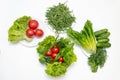 Top view of fresh vegetables and green leaves for salad