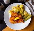 Top view of Parmesan breaded chicken with potatoes, pickles Royalty Free Stock Photo