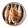 Top view of fried red mullet fish on plate cutout Royalty Free Stock Photo