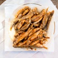 Top view of fried small surmullet fishes on plate Royalty Free Stock Photo