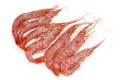 Top view of frozen Argentinian red shrimps on white background