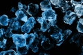 Top view of frozen ice cubes with blue illumination isolated on black. Royalty Free Stock Photo